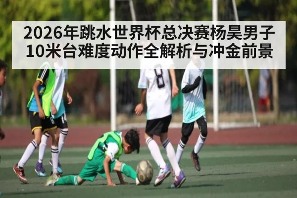 2026年跳水世界杯总决赛杨昊男子10米台难度动作全解析与冲金前景